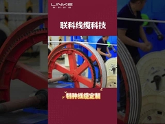 5m Ladekabel für Elektrofahrzeuge 16A 32A TUV Sud Zertifizierte Wechselstromstation Stecker