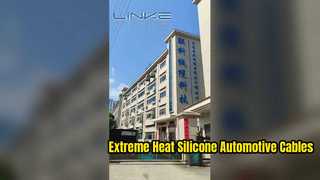 Werkseinführung von Dongguan Lianke Cable Technology Co., Ltd.